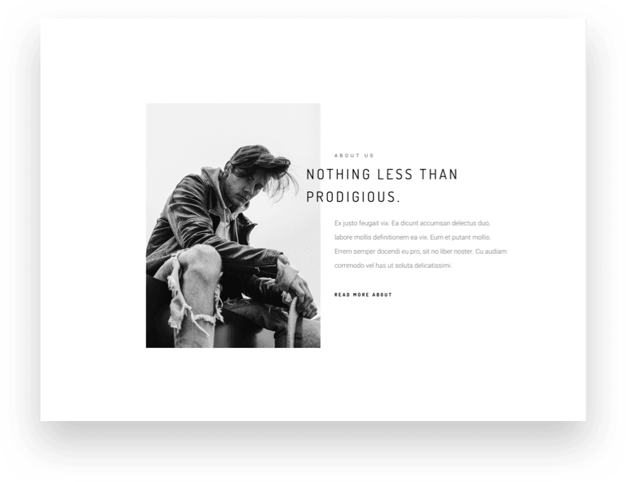 Zuperla Premium WordPress Themes